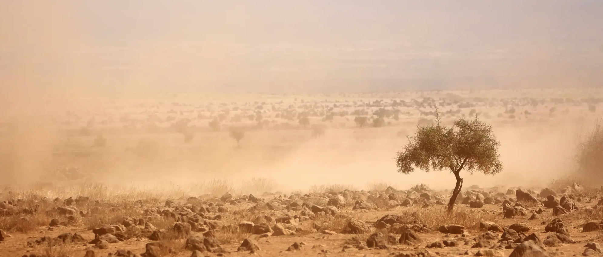 Dürre afrika