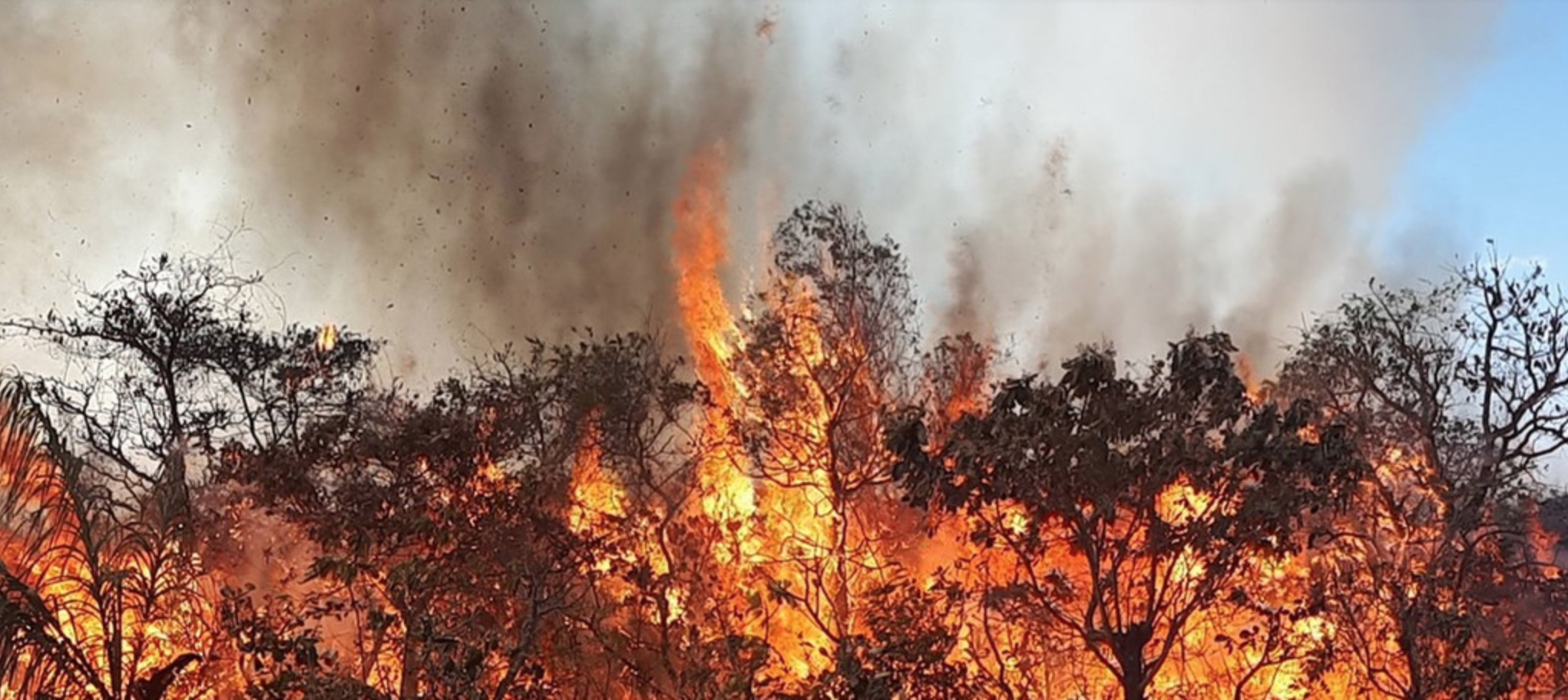 Waldbrand