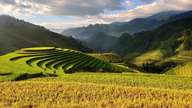 Agriculture 3732476 640