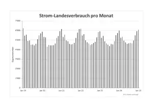 Monatsverbrauch